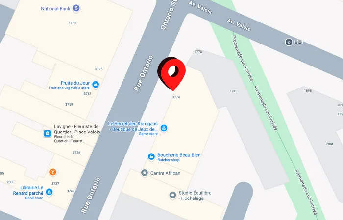 Map site web Hochelaga